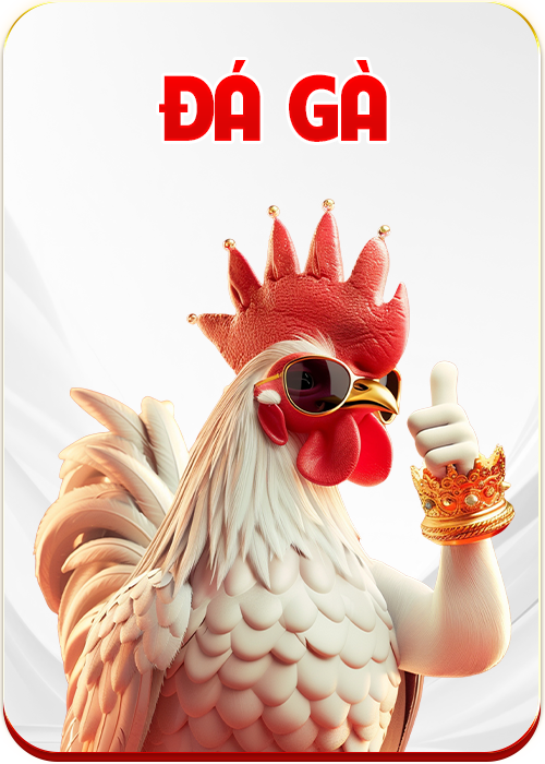 đá gà uu88